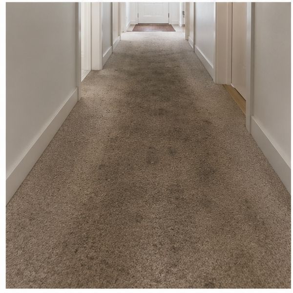 Hallway High-Traffic Lane Restoration — before cleaning